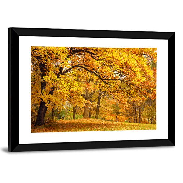 Golden Canopy in Autumn Park Wall Art as a framed print