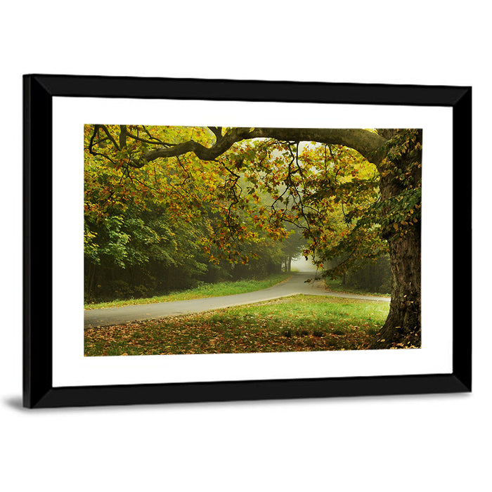 Foggy Autumn Forest Path Wall Art as a framed print
