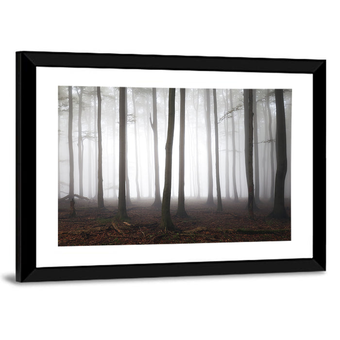 Misty Forest Perspective Wall Art as a framed print
