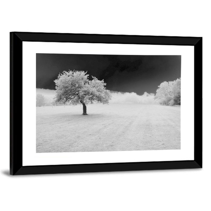 Lonely Tree in Surreal Winter Field Wall Art as a framed print