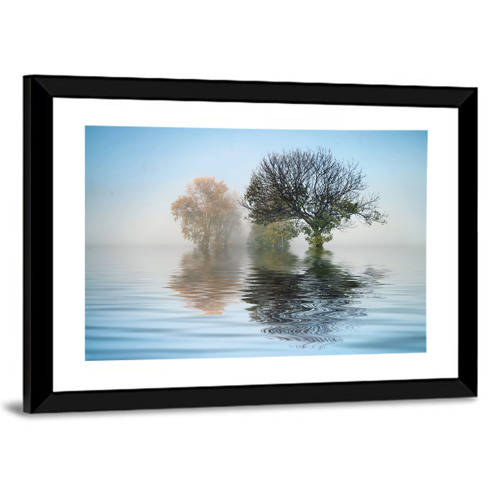 Marvelous Shot Of Nature Wall Art