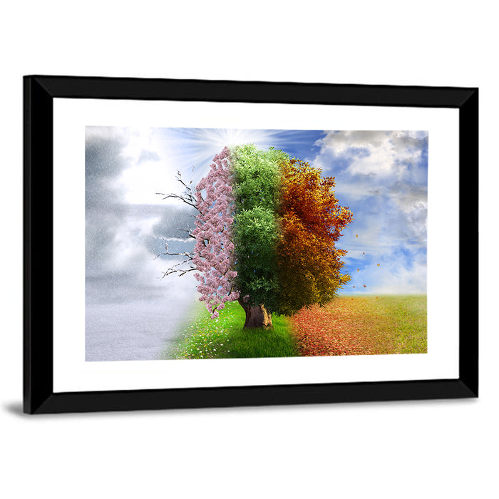 Tree Through Four Seasons Wall Art as a framed print