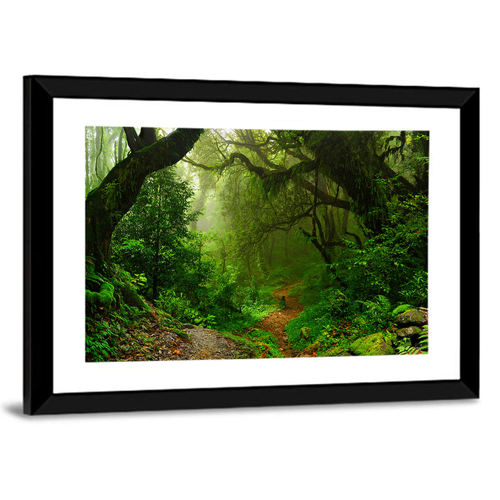 Misty Forest Trail in Nepal Wall Art
