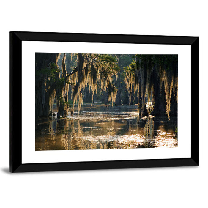 Spanish Moss in Louisiana Bayou Wall Art as a framed print