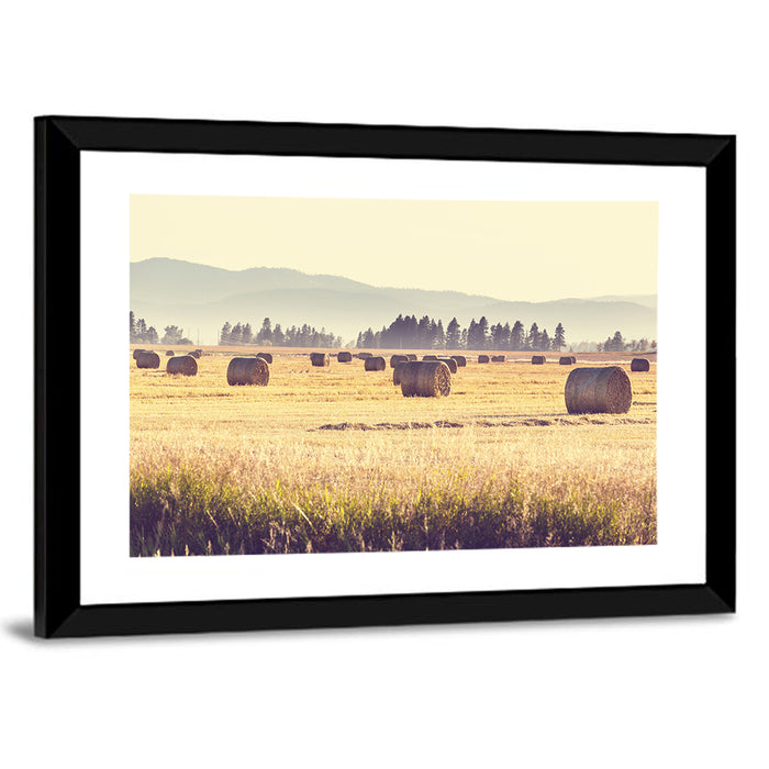 Golden Hay Bales Field Wall Art as a framed print