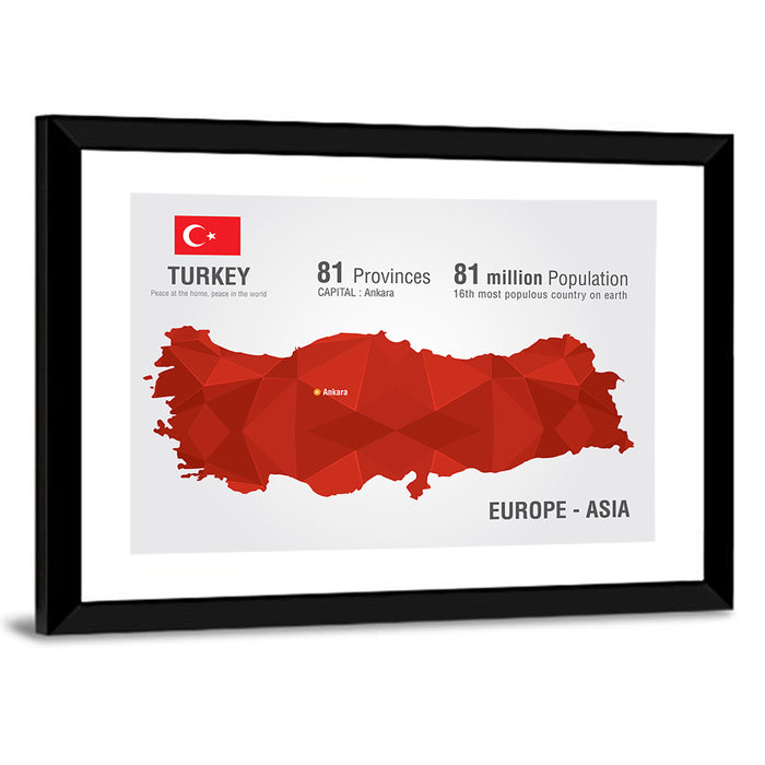 Turkey Map Infographic Wall Art as a framed print