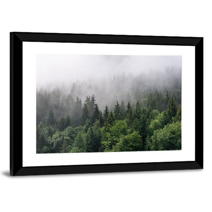 Misty Evergreen Forest Overview Wall Art as a framed print
