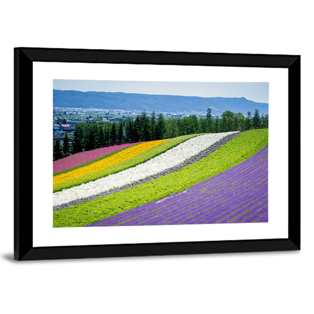 Lavender Garden In Fulano Hokkaido Wall Art