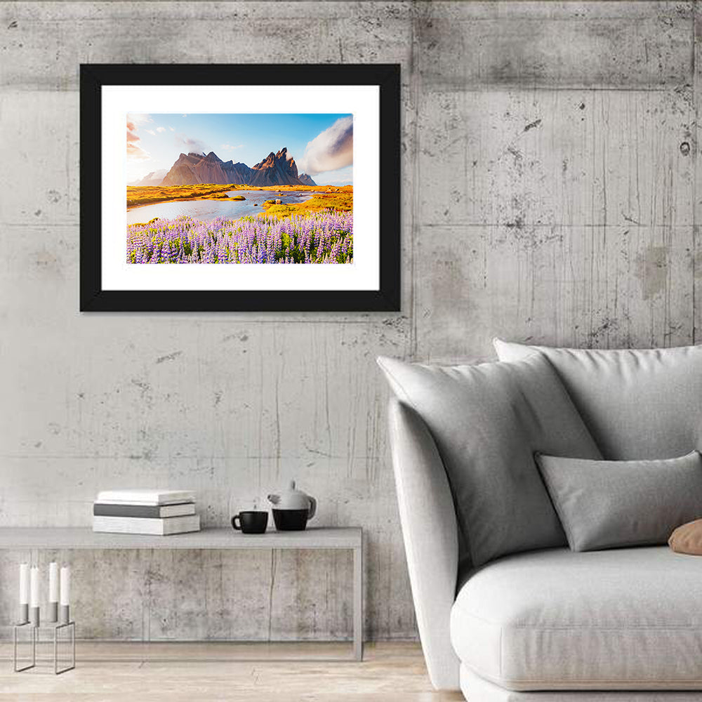 Majestic lupine flowers in Vestrahorn Wall Art