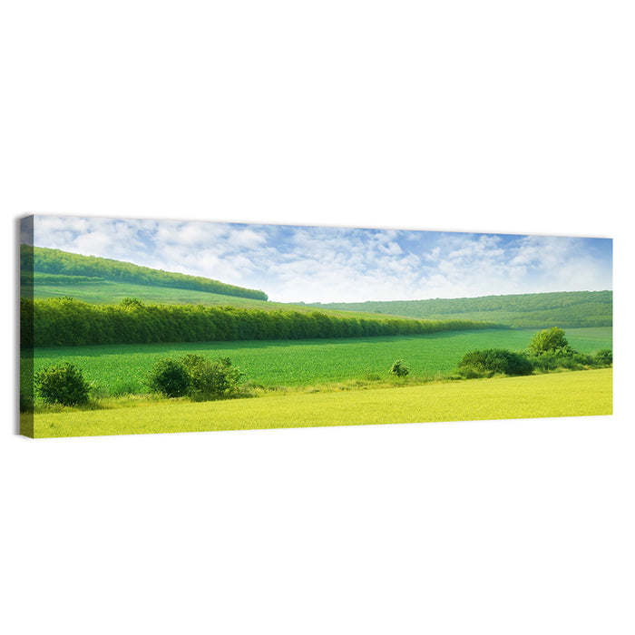Green Spring Meadow Wall Art as a canvas print