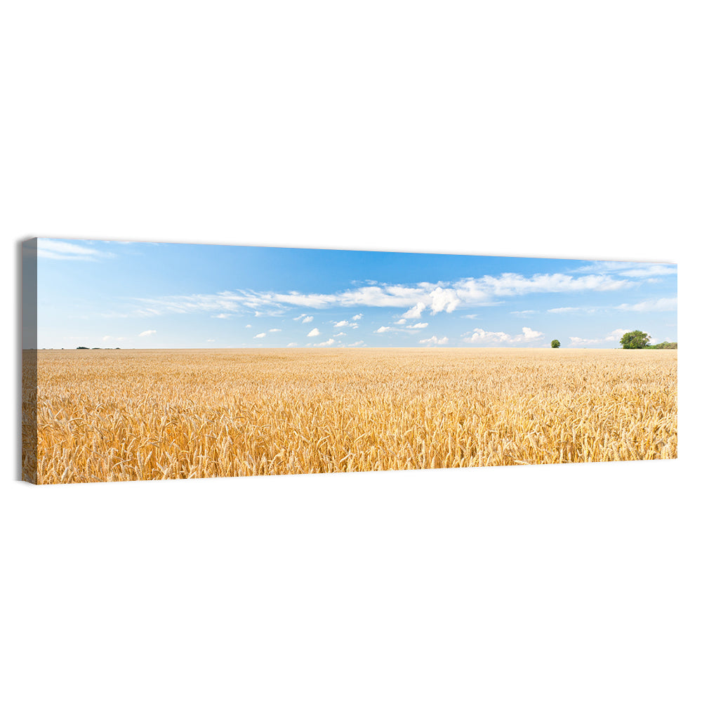 Golden Wheat Field with Blue Sky Wall Art, canvas print, panoramic
