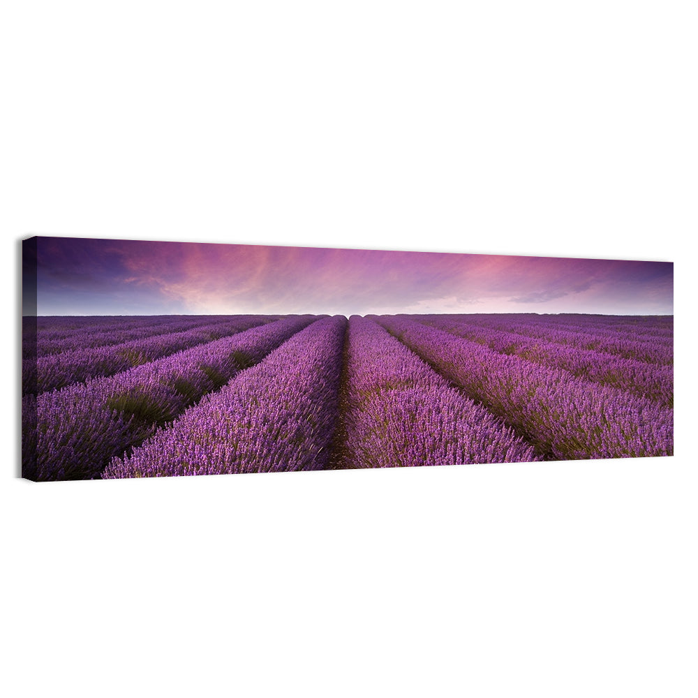 Lavender Field Sunset Wall Art