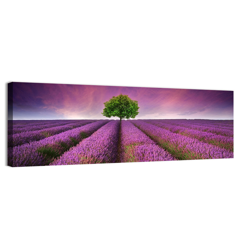 Lavender Field at Sunset Wall Art, canvas print, panoramic