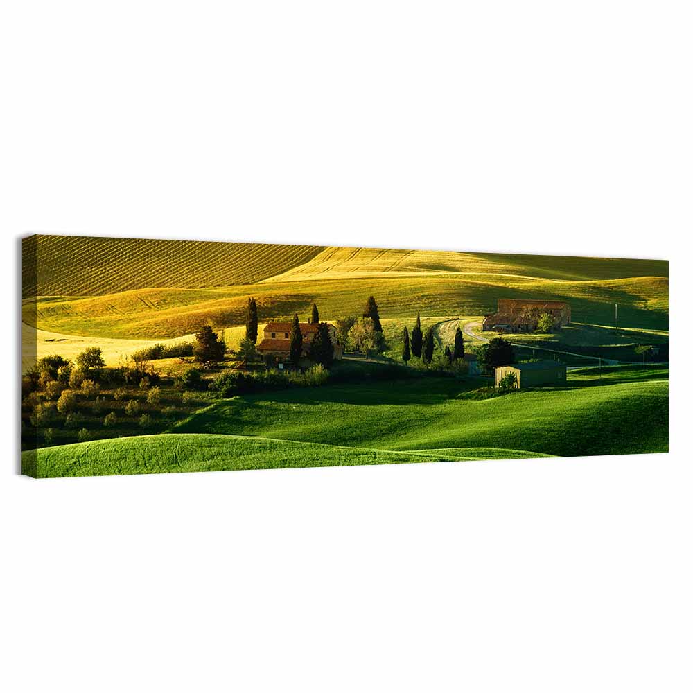 Tuscany Fields at Golden Hour Wall Art, canvas print, panoramic