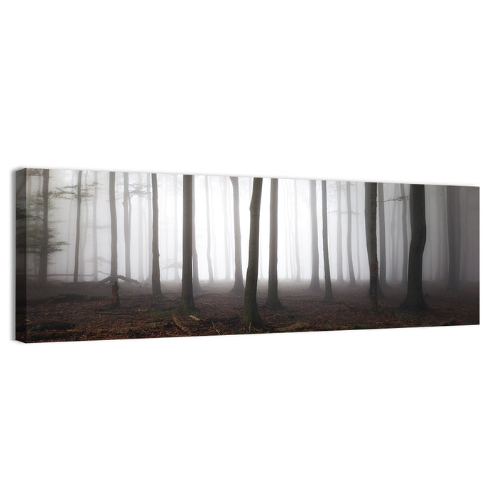 Misty Forest Perspective Wall Art as a canvas print