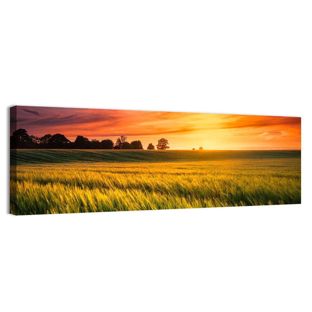 Wheat Field at Golden Hour Wall Art, canvas print, panoramic