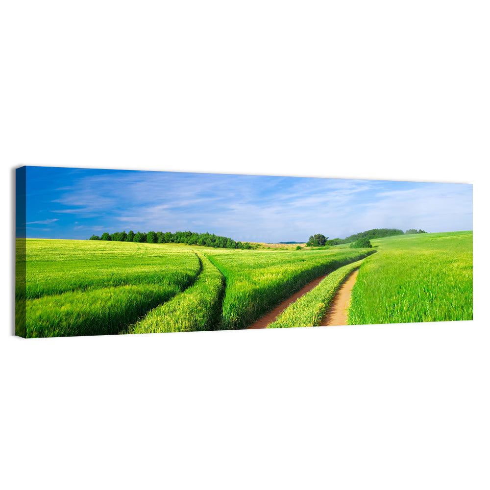 Summer Meadow with Dirt Path Wall Art, canvas print, panoramic