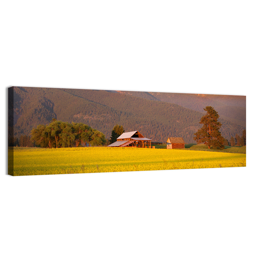 Rapeseed Field and Barn at Golden Hour Wall Art, canvas print, panoramic