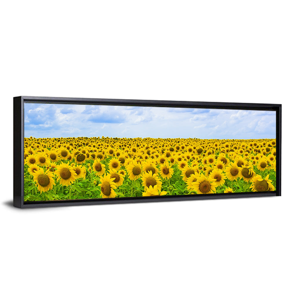 Sunflowers Summer Field Wall Art