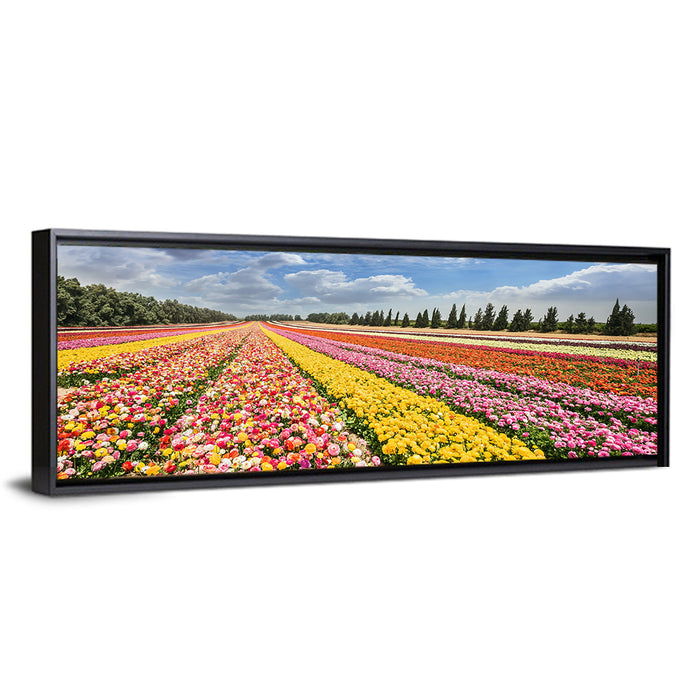 Spring Buttercup Field Wall Art as a framed canvas