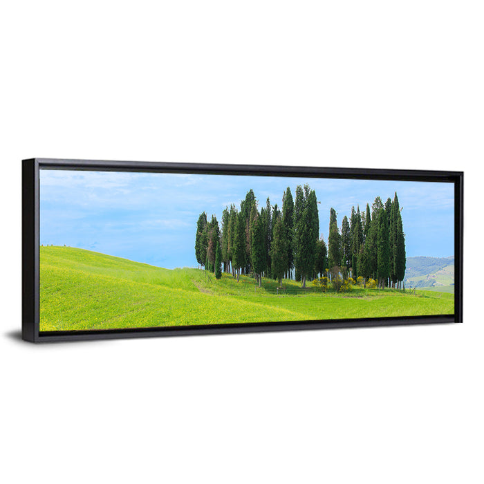 Tuscany Cypress Trees Wall Art as a framed canvas