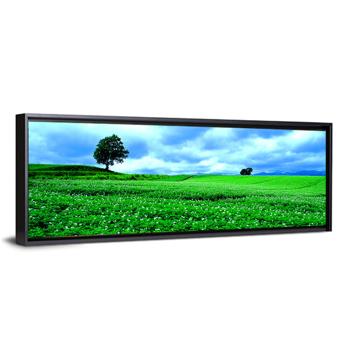 Biei Hill with Lone Tree, Hokkaido Wall Art as a framed canvas