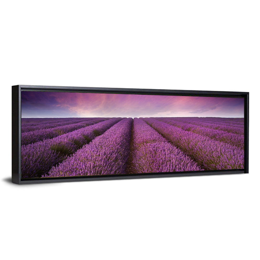 Lavender Field Sunset Wall Art