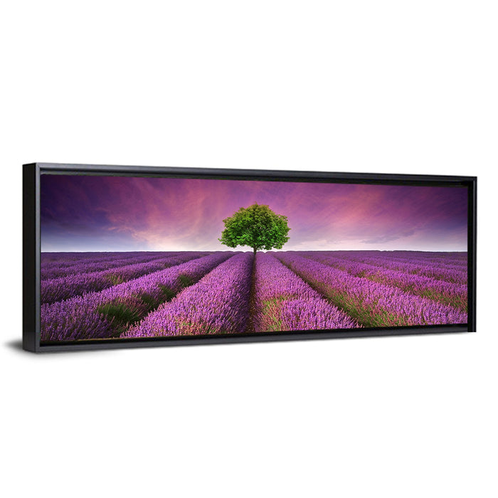 Lavender Field at Sunset Wall Art as a framed canvas