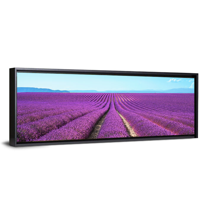 Lavender Flower Fields Wall Art as a framed canvas