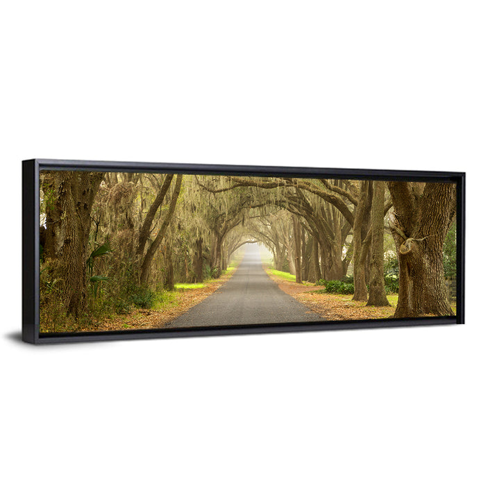 Spanish Moss Country Road Wall Art as a framed canvas