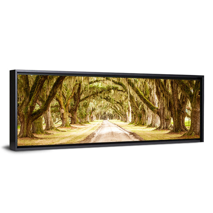 Oak Pathway Under Spanish Moss Wall Art as a framed canvas