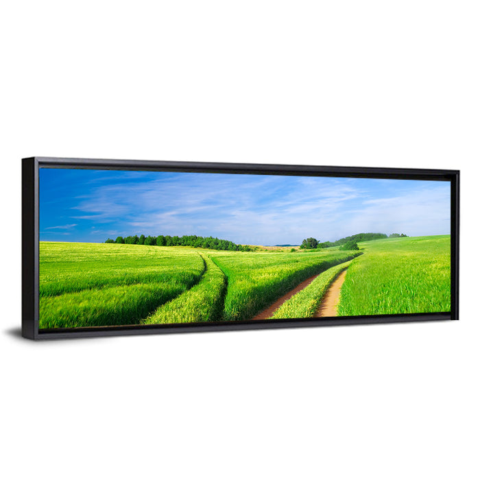 Summer Meadow with Dirt Path Wall Art as a framed canvas