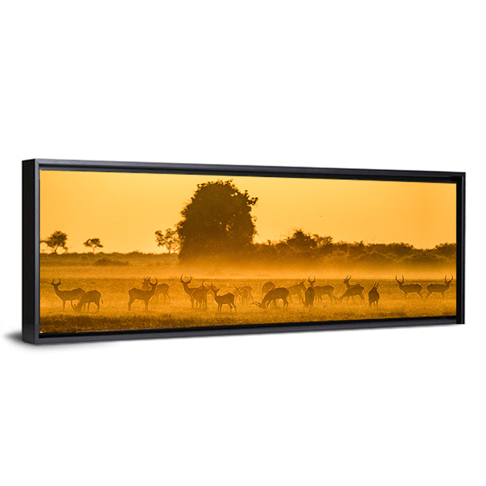 Antelope Herd at Golden Hour Wall Art as a framed canvas