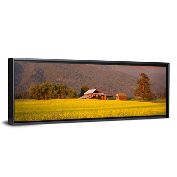 Rapeseed Field and Barn at Golden Hour Wall Art as a framed canvas