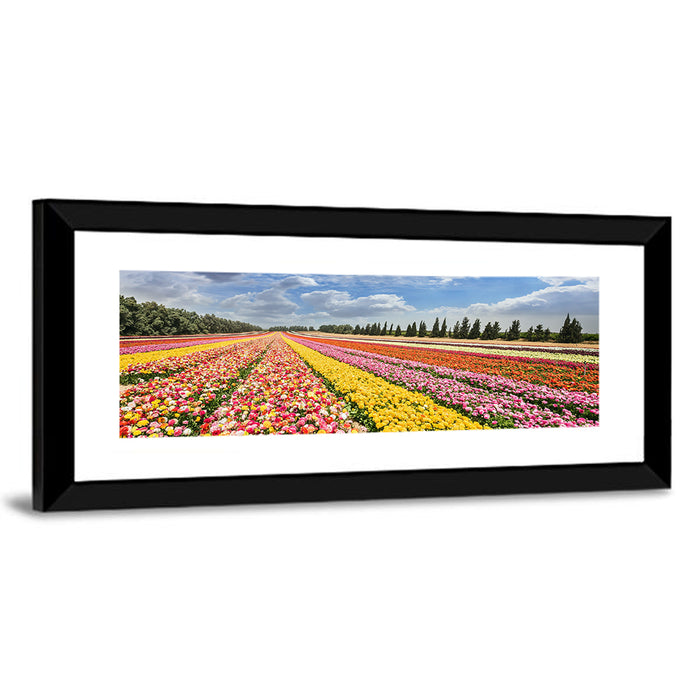 Spring Buttercup Field Wall Art as a framed print