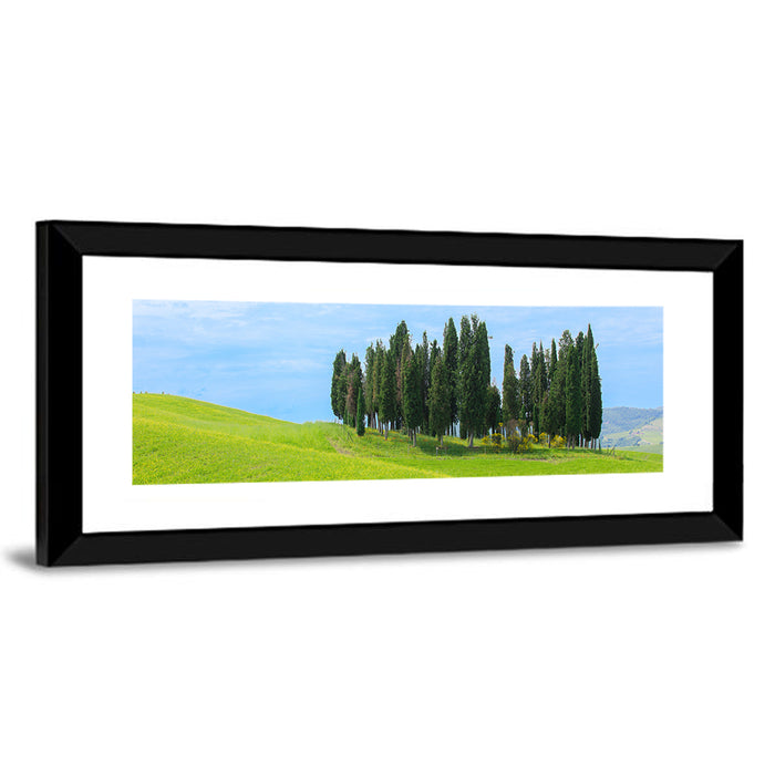 Tuscany Cypress Trees Wall Art as a framed print
