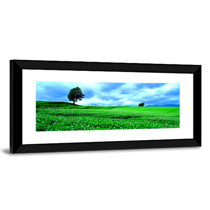 Biei Hill with Lone Tree, Hokkaido Wall Art as a framed print