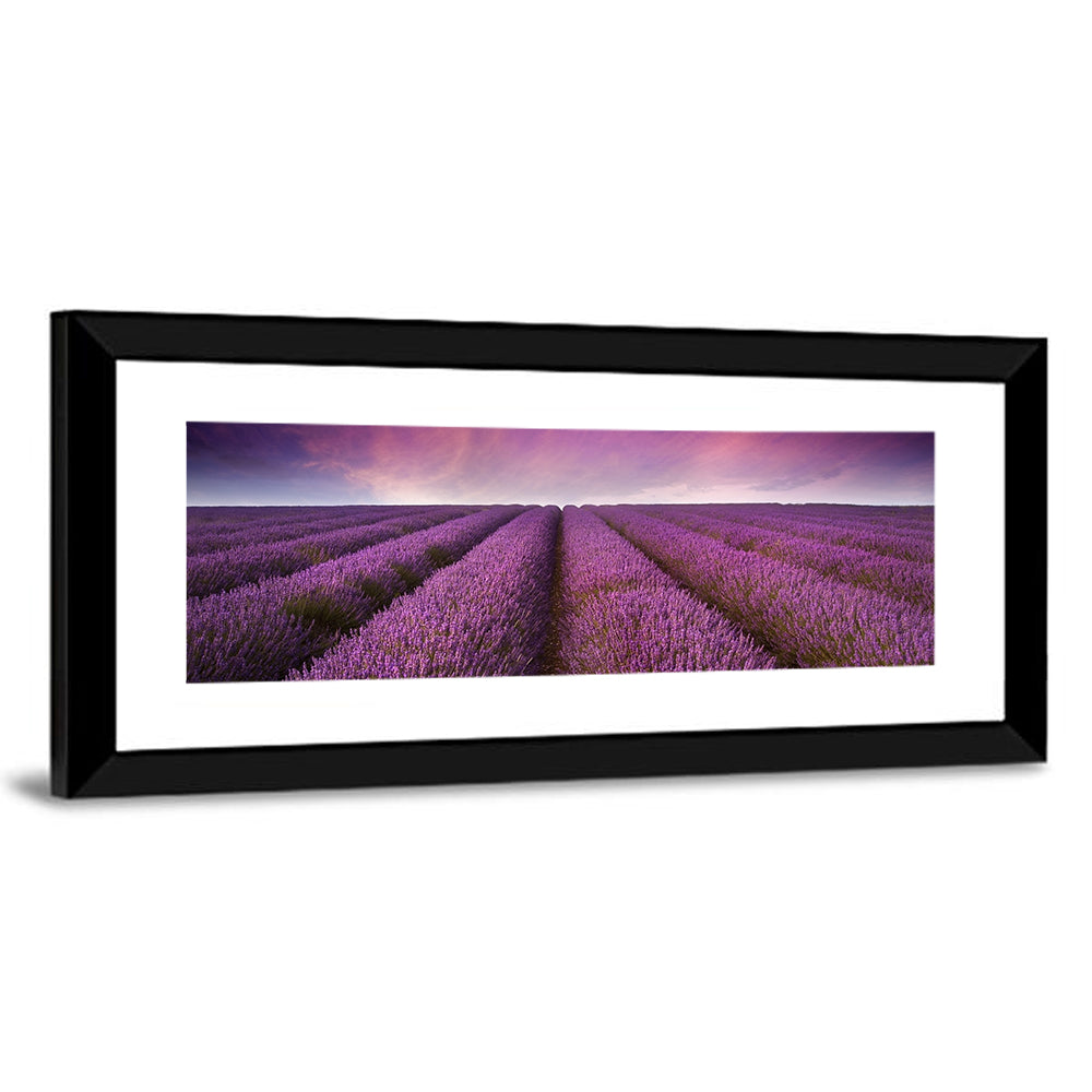 Lavender Field Sunset Wall Art