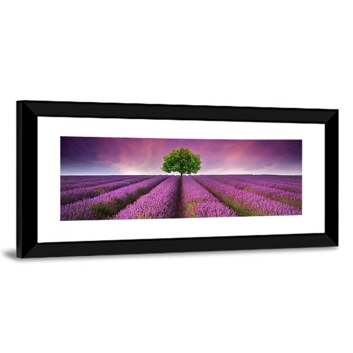 Lavender Field at Sunset Wall Art as a framed print