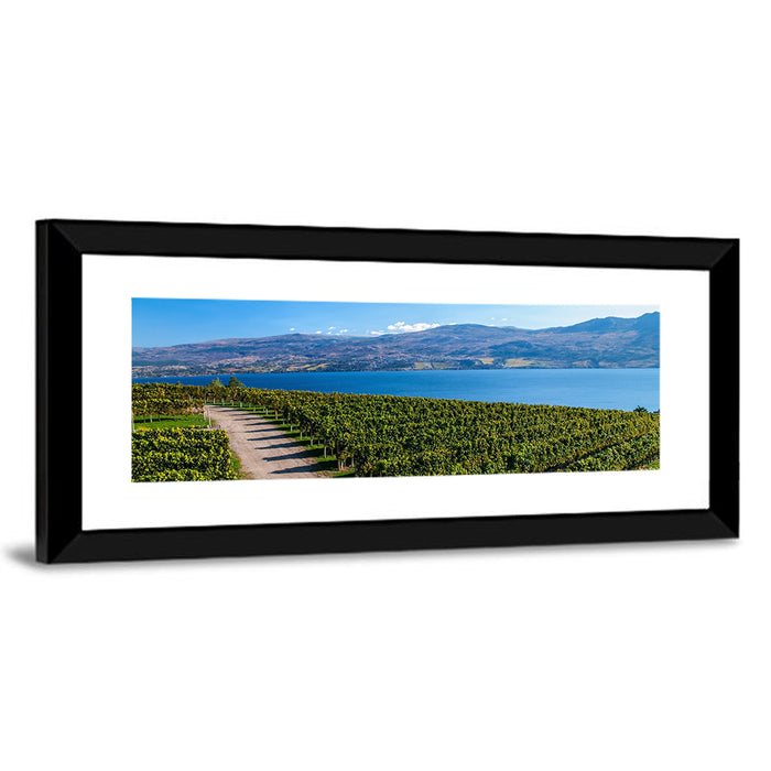 Lake Okanagan Vineyard Path Wall Art as a framed print