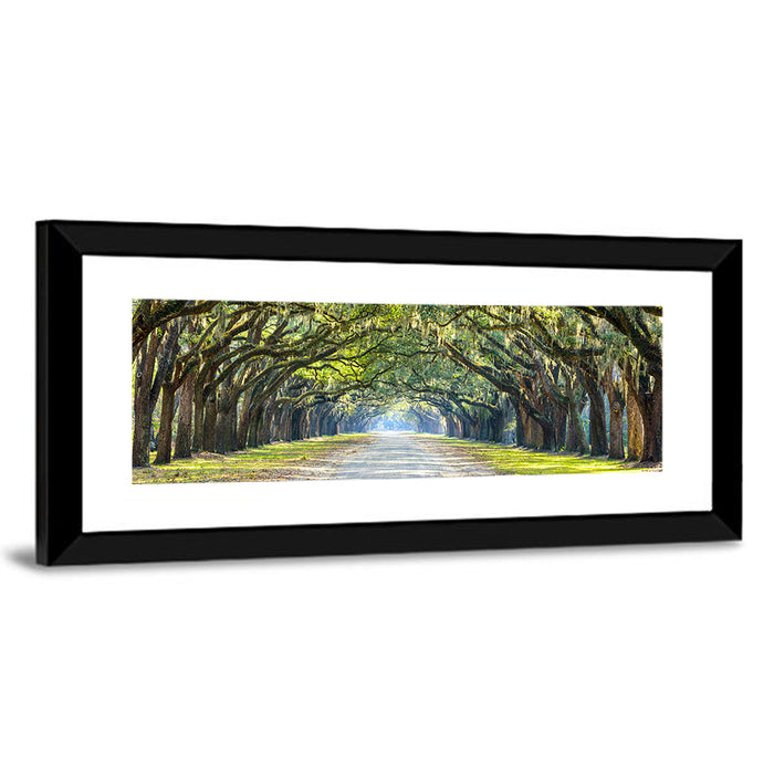 Wormsloe Plantation Oak Tunnel Wall Art as a framed print