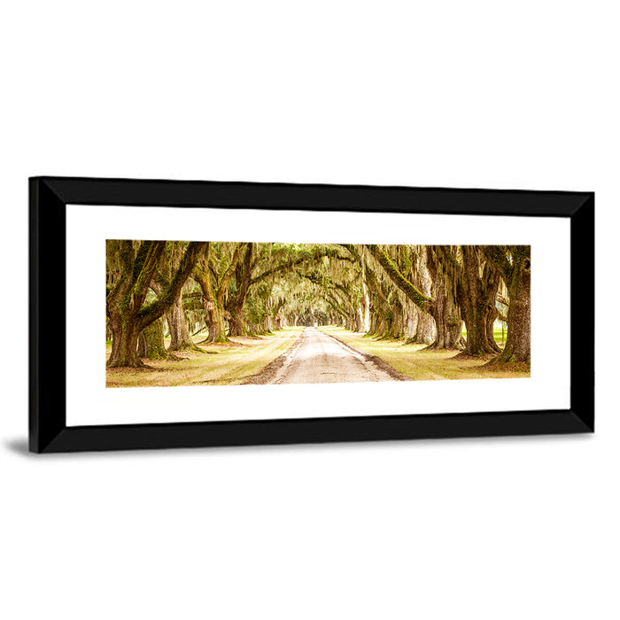 Oak Pathway Under Spanish Moss Wall Art as a framed print