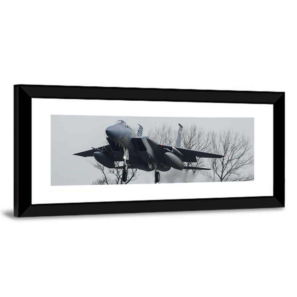 USAF F-15 Eagle Jet Wall Art