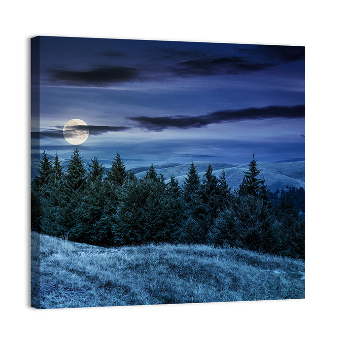 Moonlit Svydovets Ridge Wall Art as a canvas print