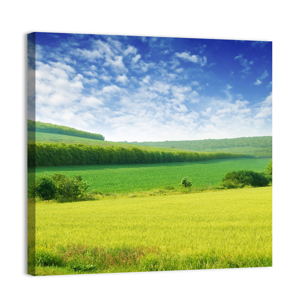 Green Spring Meadow Wall Art