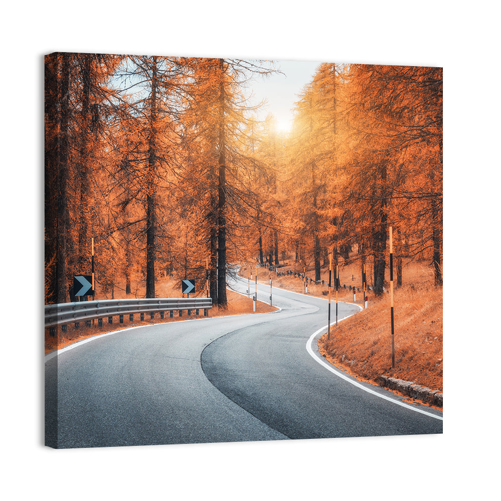 Road In Autumn Forest At Sunset Wall Art