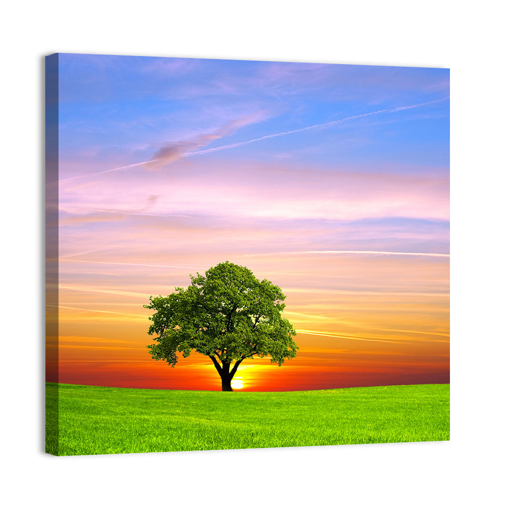 Lone Tree at Sunset Wall Art, canvas print, square