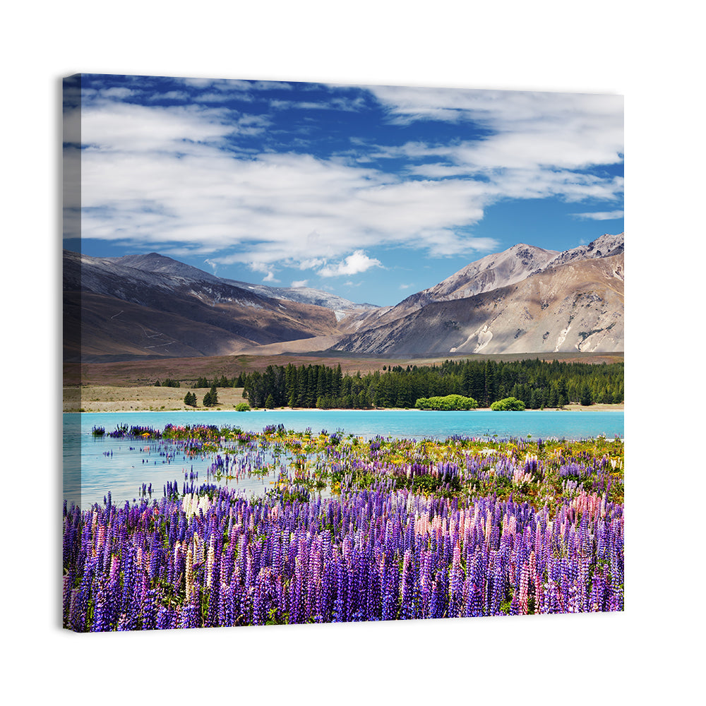 Lake Tekapo Wall Art