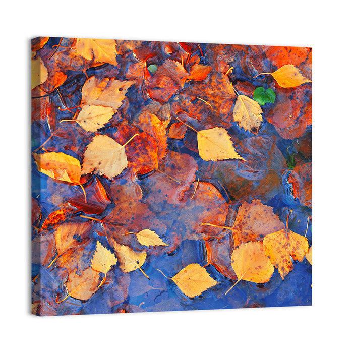 Birch Leaves in Rain Puddle Wall Art as a canvas print