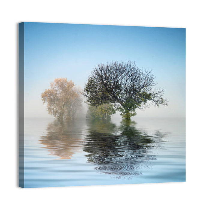 Misty Lake Reflection Wall Art as a canvas print